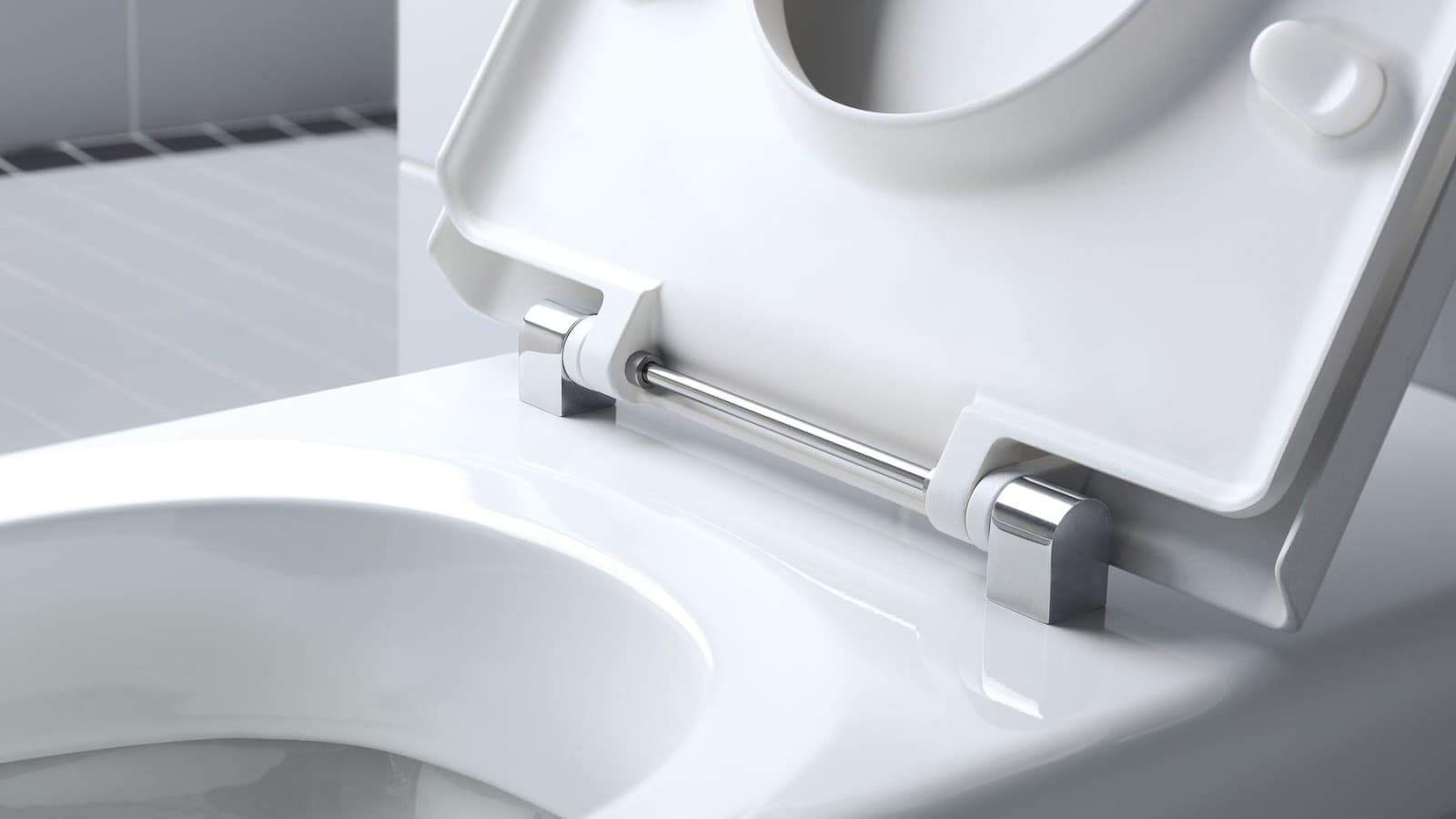 Geberit Renova Comfort WC mit Scharnierwelle aus Edelstahl Geberit Renova Comfort WC mit Scharnierwelle aus Edelstahl