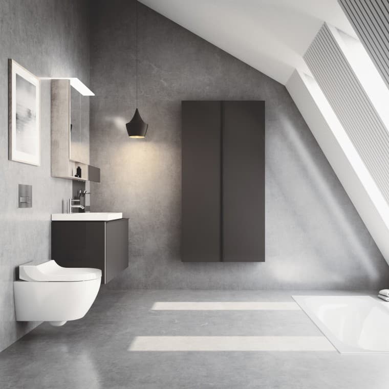 Dusch-WC Geberit AquaClean Tuma mit gebürsteter Edelstahl-Abdeckung Dusch-WC Geberit AquaClean Tuma mit gebürsteter Edelstahl-Abdeckung